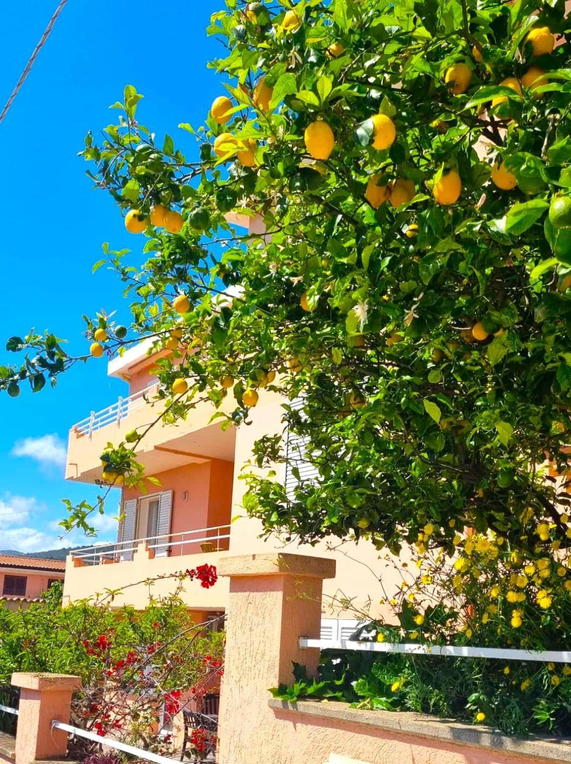 Casa Vacanze Mura Cala Gonone Kültér fotó